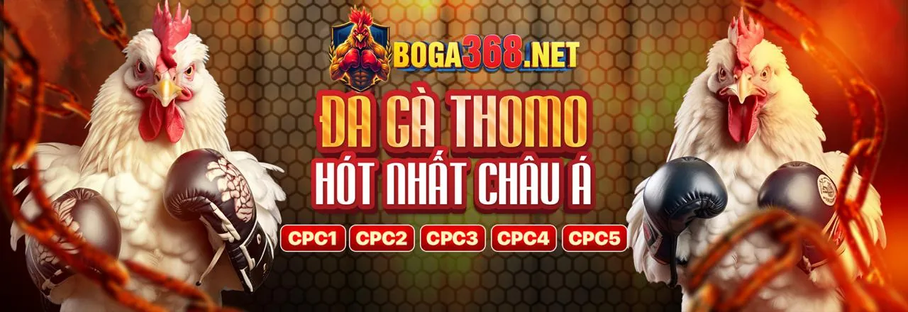 18jili banner giới thiệu nền tảng giải trí trực tuyến hàng đầu